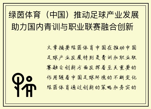 绿茵体育（中国）推动足球产业发展 助力国内青训与职业联赛融合创新